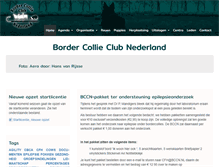Tablet Screenshot of bccn.nl